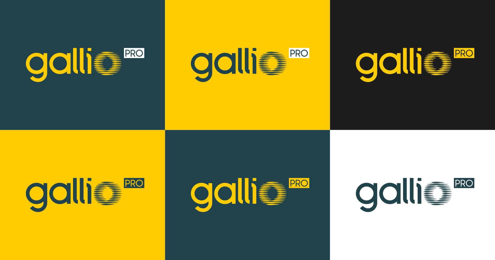gallio PRO logo warianty kolorystyczne