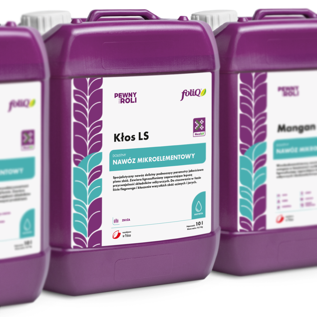 09 foliQ rebranding NexiLS zoom